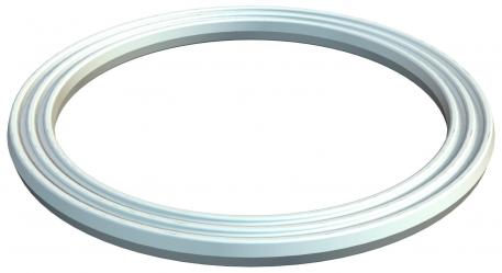 Connection thread sealing ring, metric 20,9 | 16 | 1,1